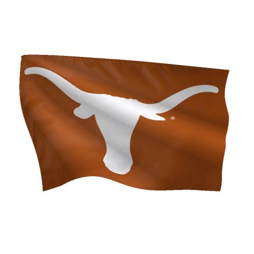 University of Texas Deluxe Flag