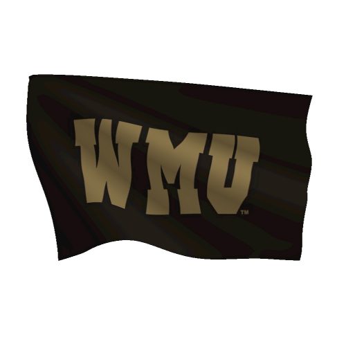 Western Michigan University Flag