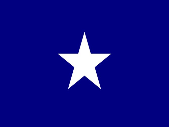 3ft x 3ft Bonnie Blue Flag