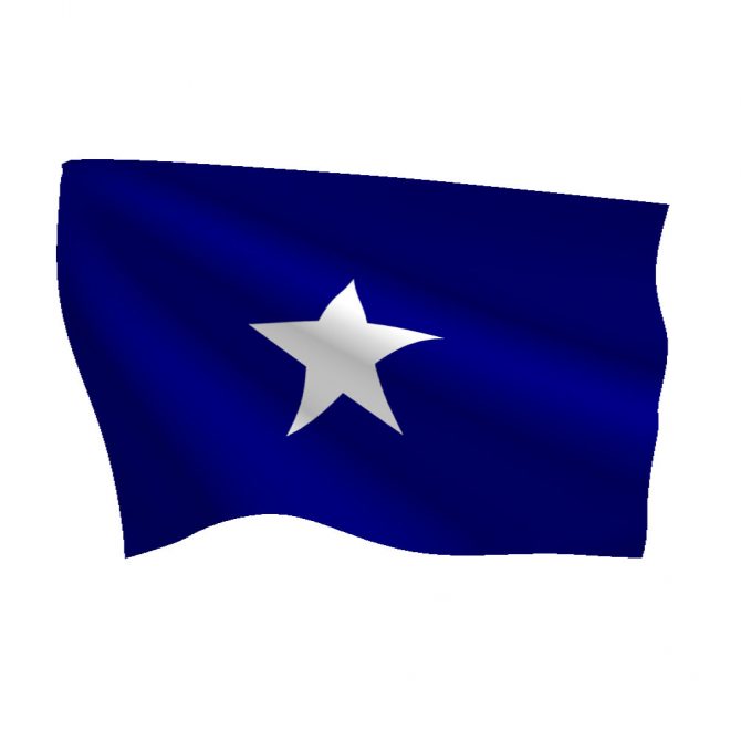 3ft x 3ft Bonnie Blue Flag