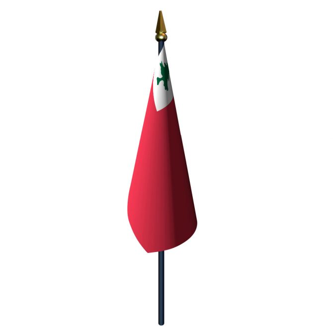 4in x 6in Continental Flag with Staff and Spear