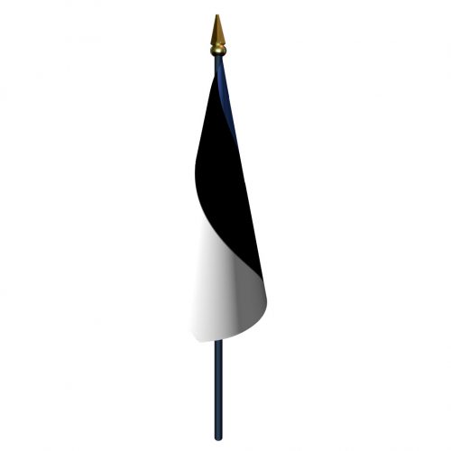 4in x 6in Estonia Flag with Staff and Spear