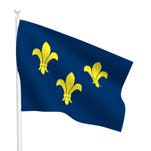 3ft x 5ft French Fleur-de-lis Flag