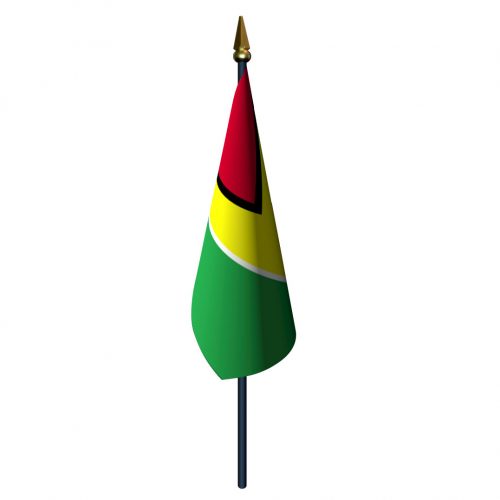 4in x 6in Guyana Flag with Staff and Spear