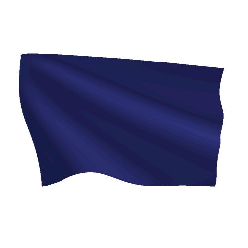 Legion Blue Flag