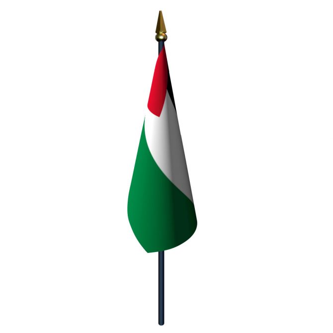 4in x 6in Palestine Flag with Staff and Spear