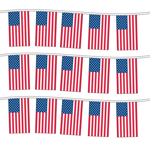 100ft of Plastic Stringed American Flags