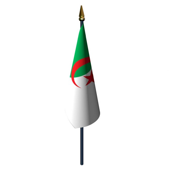 4in x 6in Algeria Flag with Staff and Spear