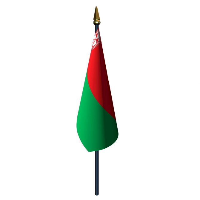 4in x 6in Belarus Flag with Staff and Spear