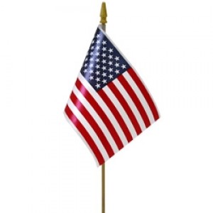 4in x 6in Plastic Handheld American Flag