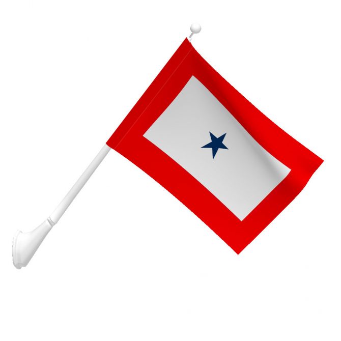 3ft x 5ft Service Star Flag