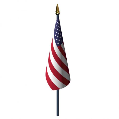Handheld US Flags